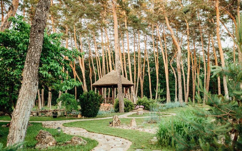 ТОП-20 баз відпочинку у Дніпрі: де можна зарядити "внутрішні батарейки"