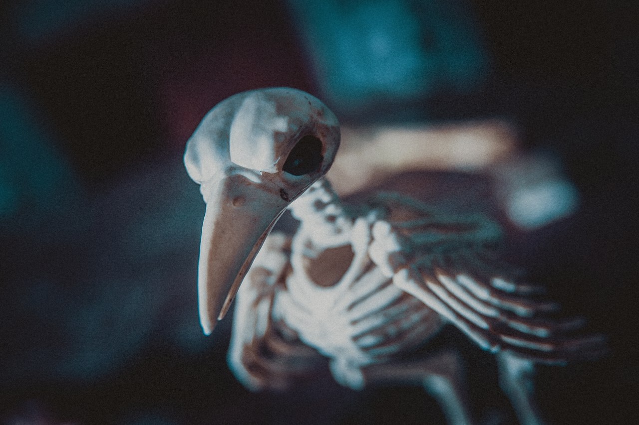 Містика, з актором Портал Привидів