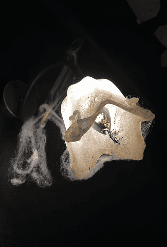 Хорор, з 2 акторами Астрал