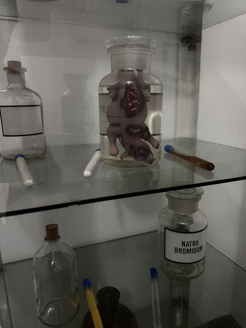 Пригоди Лабораторія Припʼять