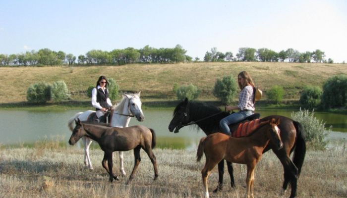 Куди піти з дитиною в Дніпрі: 12 місць для маленьких непосид та їх батьків