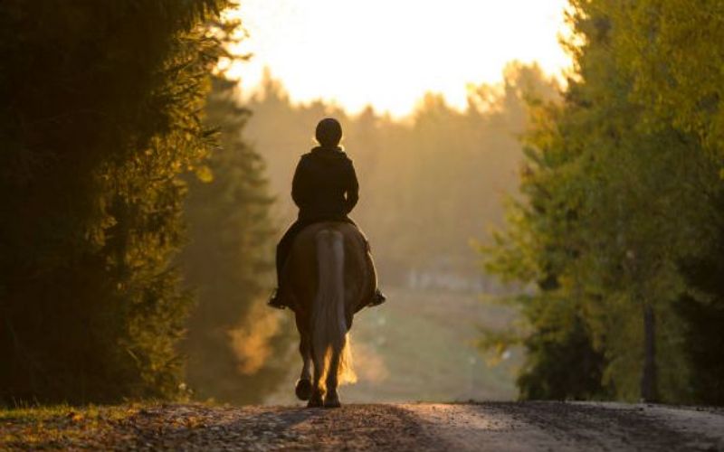 ТОП 15 розваг Дніпра для незвичайного відпочинку