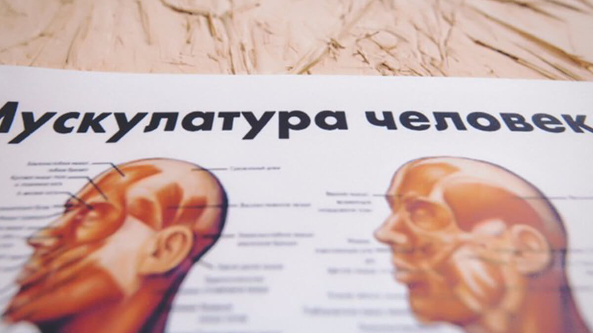 Фільми та Книги Лабораторія Доктора Моро