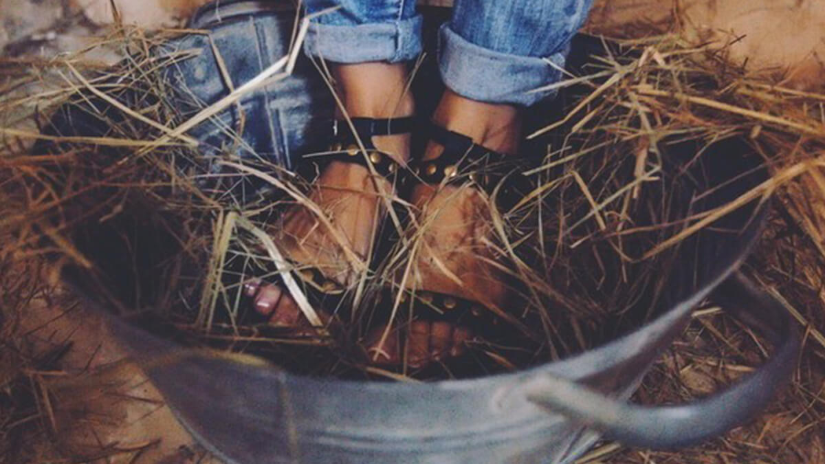 Фільми та Книги Лабораторія Доктора Моро