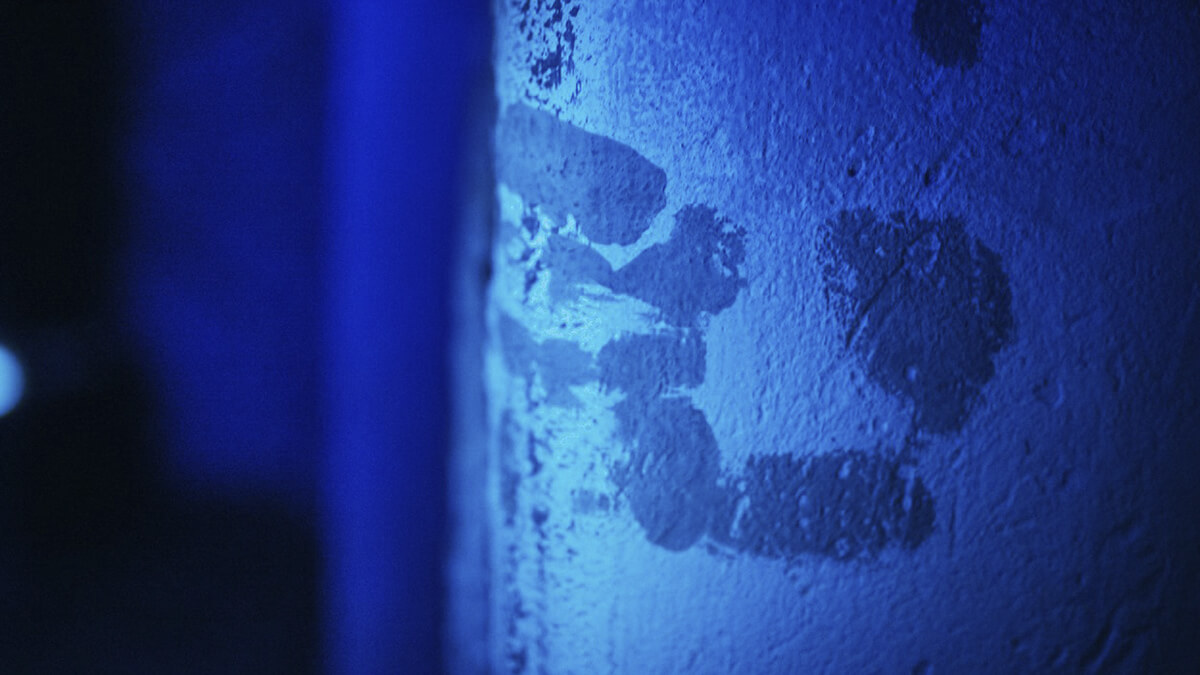 Містика Нічний жах