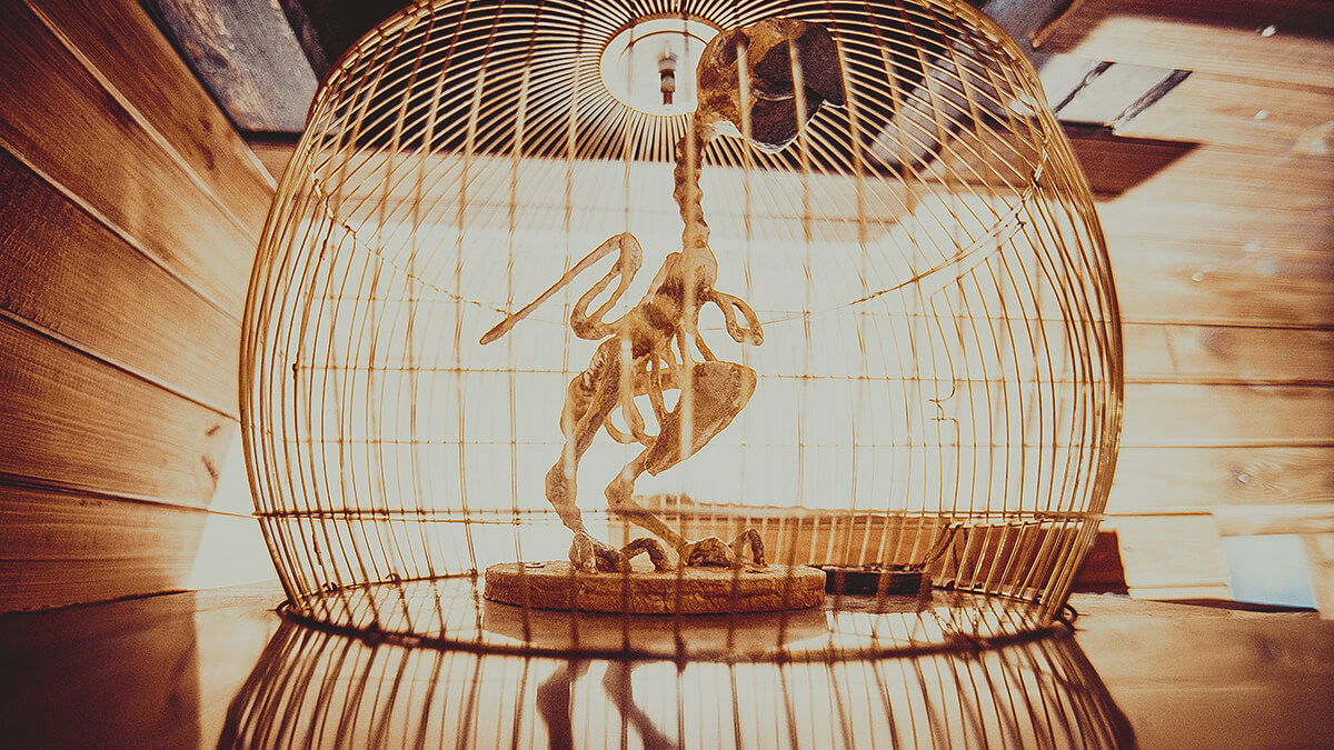 Пригоди Піратське золото