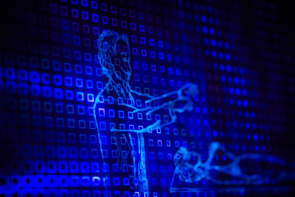 Пригоди Ілюзіоніст