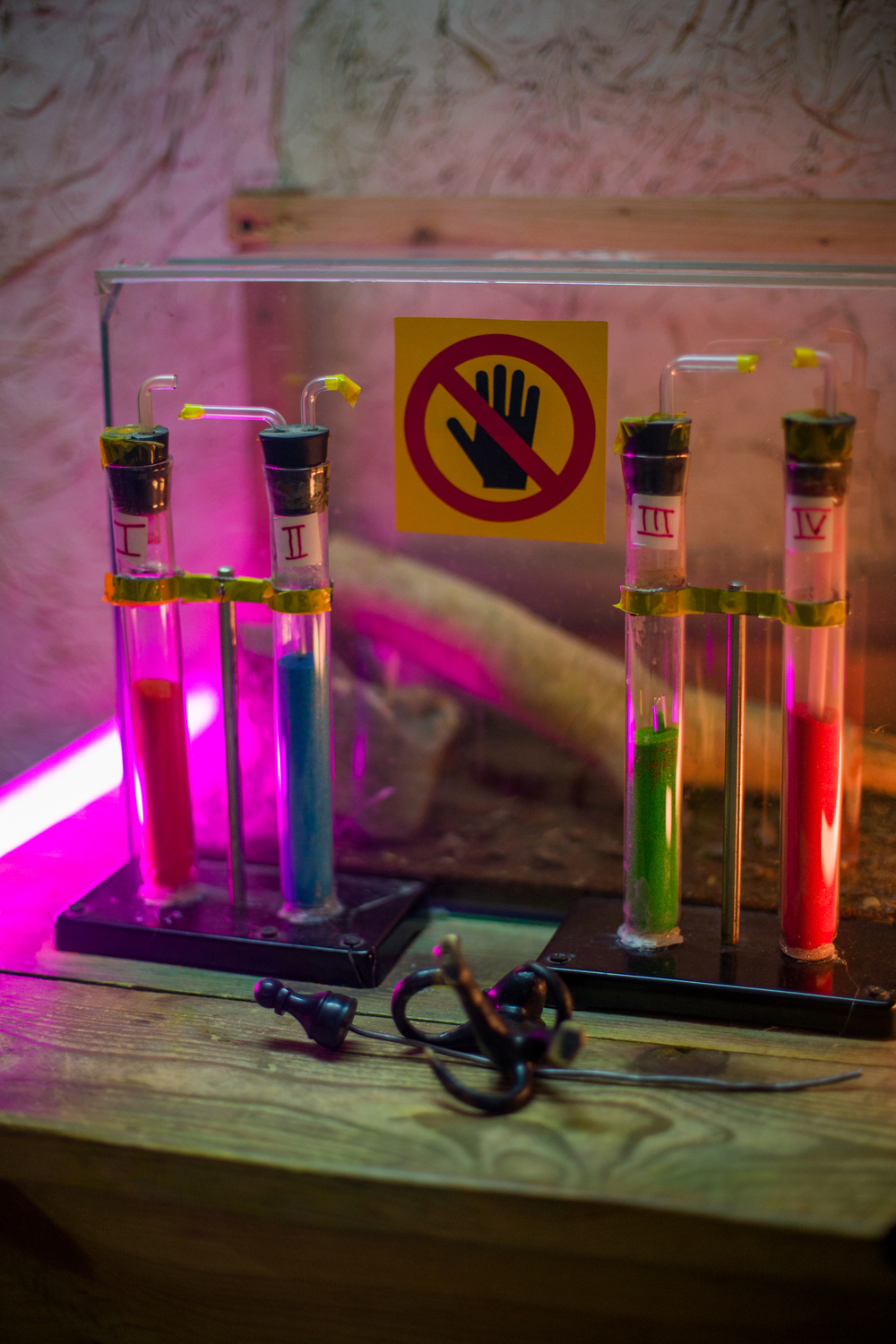 Фільми та Книги Лабораторія Доктора Моро