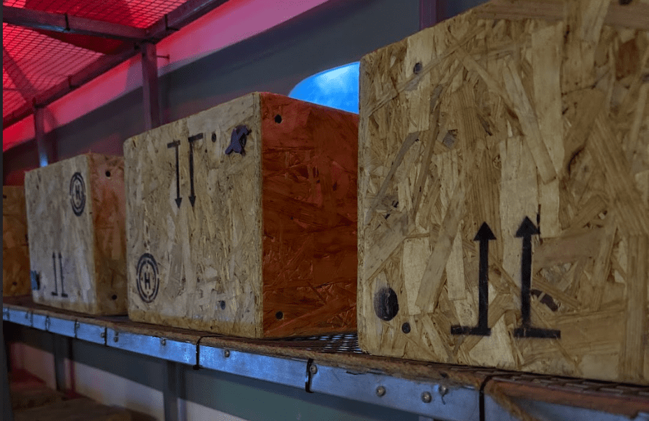 Пригоди Небезпечний рейс