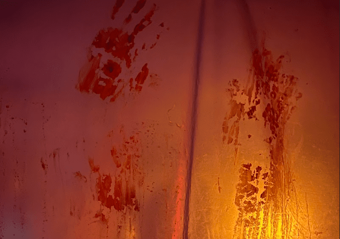 Хорор, з Актором Протеже Франка