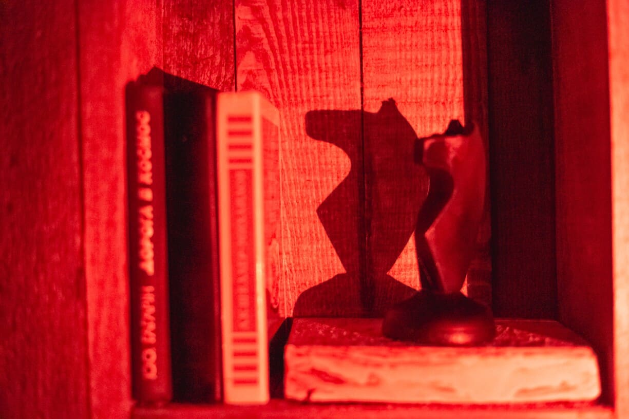 Хорор, з 1-2 акторами Вигнання