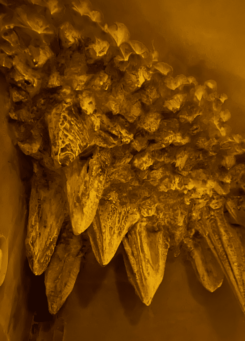 Пригоди, 90 хв Останній забій